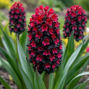 Гиацинт Джем Стоун купить по цене от 2099р. в интернет-магазине «Посадика» с доставкой почтой в в Железногорске и по всей России – [изображение №1].