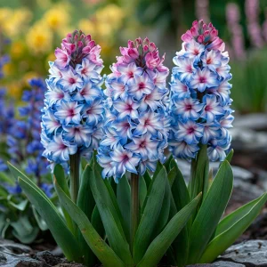 Гиацинт Пинк Мари купить по цене от 2099р. в интернет-магазине «Посадика» с доставкой почтой в в Железногорске и по всей России – [изображение №1].