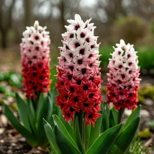 Гиацинт Скай Гарден купить по цене от 2099р. в интернет-магазине «Посадика» с доставкой почтой в в Железногорске и по всей России – [изображение №1].